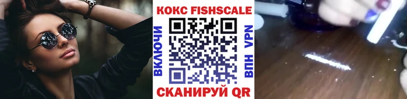 Купить закладки  Лаишево  Cocaine Fish Scale 