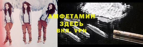 твердый Арсеньев