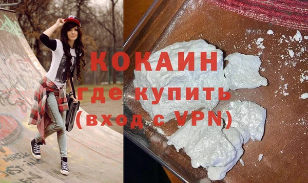 твердый Арсеньев