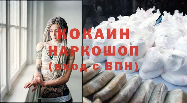 твердый Арсеньев