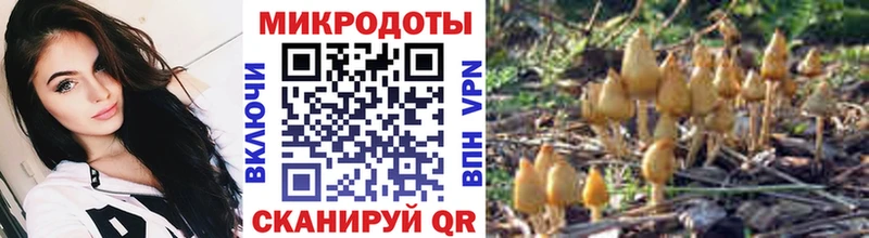 Купить  Лаишево  Галлюциногенные грибы мухоморы 